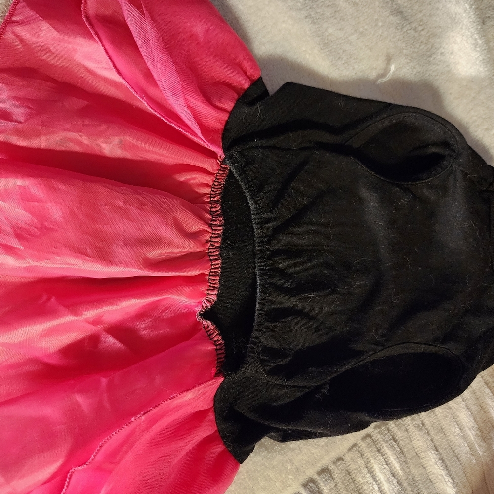 Your Rocker Dog Dress - Picture 5 of 5